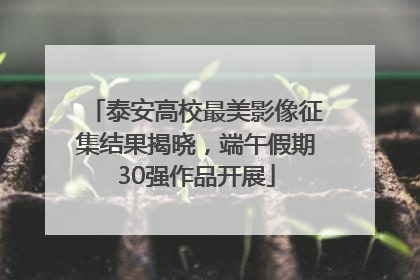 泰安高校最美影像征集结果揭晓，端午假期30强作品开展