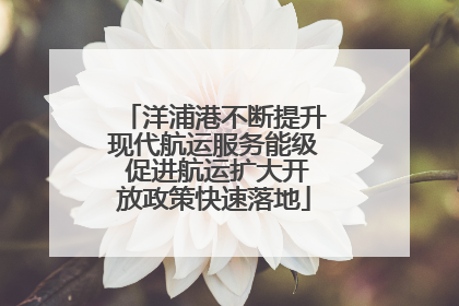 洋浦港不断提升现代航运服务能级 促进航运扩大开放政策快速落地