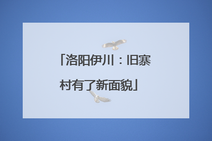 洛阳伊川：旧寨村有了新面貌