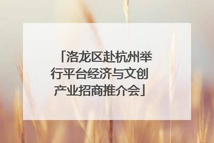 洛龙区赴杭州举行平台经济与文创产业招商推介会