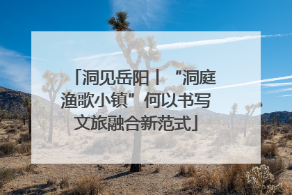 洞见岳阳丨“洞庭渔歌小镇”何以书写文旅融合新范式