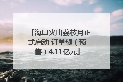 海口火山荔枝月正式启动 订单额（预售）4.11亿元