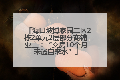 海口坡博家园二区2栋2单元2层部分商铺业主：“交房10个月未通自来水”