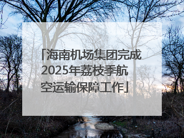 海南机场集团完成2025年荔枝季航空运输保障工作