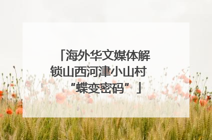 海外华文媒体解锁山西河津小山村“蝶变密码”