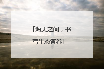海天之间，书写生态答卷