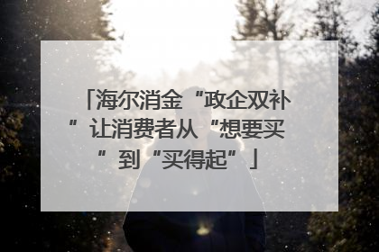 海尔消金“政企双补”让消费者从“想要买”到“买得起”