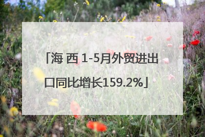 海 西 1-5月外贸进出口同比增长159.2%