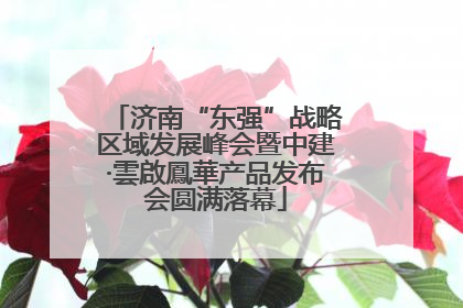 济南“东强”战略区域发展峰会暨中建·雲啟鳳華产品发布会圆满落幕