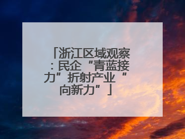 浙江区域观察：民企“青蓝接力”折射产业“向新力”