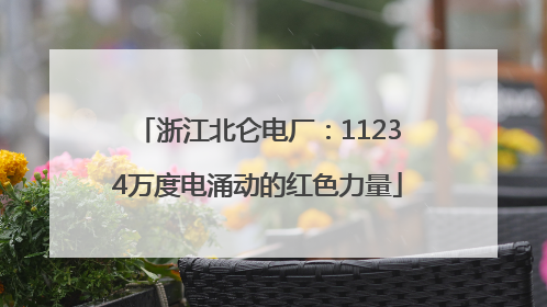 浙江北仑电厂：11234万度电涌动的红色力量