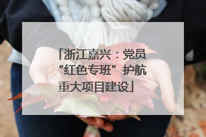 浙江嘉兴：党员“红色专班”护航重大项目建设