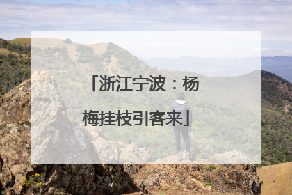 浙江宁波：杨梅挂枝引客来