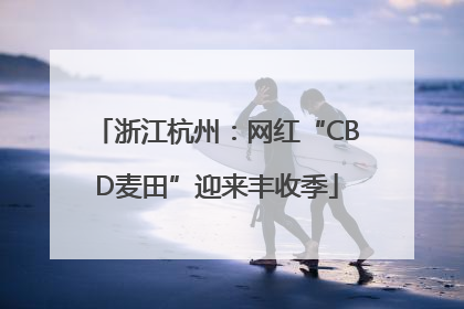 浙江杭州：网红“CBD麦田”迎来丰收季