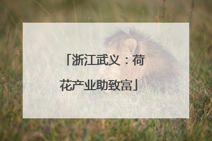 浙江武义：荷花产业助致富