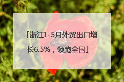 浙江1-5月外贸出口增长6.5%，领跑全国
