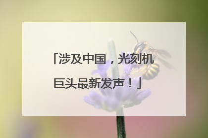 涉及中国，光刻机巨头最新发声！