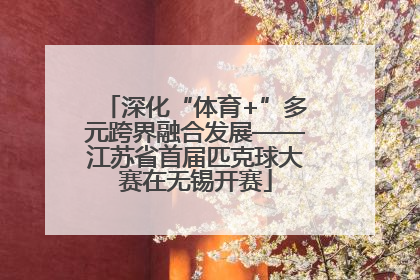 深化“体育+”多元跨界融合发展——江苏省首届匹克球大赛在无锡开赛