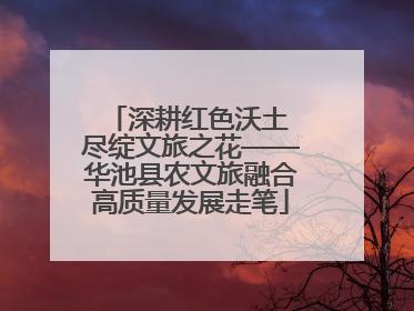 深耕红色沃土 尽绽文旅之花——华池县农文旅融合高质量发展走笔