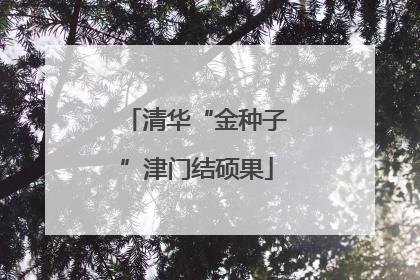 清华“金种子”津门结硕果