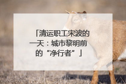 清运职工宋波的一天：城市黎明前的“净行者”