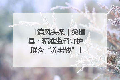 清风头条｜桑植县：精准监督守护群众“养老钱”