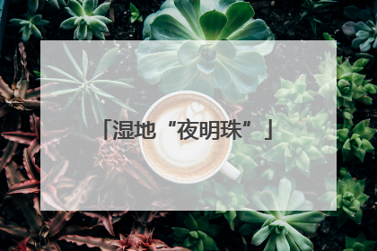 湿地“夜明珠”
