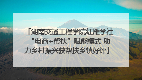 湖南交通工程学院红雁学社“电商+帮扶”赋能模式 助力乡村振兴获帮扶乡镇好评