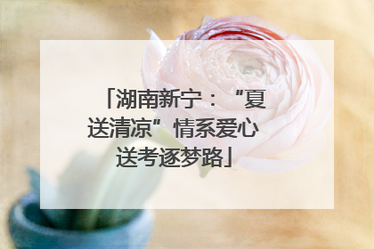 湖南新宁：“夏送清凉”情系爱心送考逐梦路