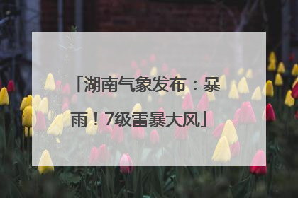 湖南气象发布：暴雨！7级雷暴大风