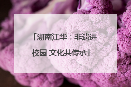 湖南江华：非遗进校园 文化共传承