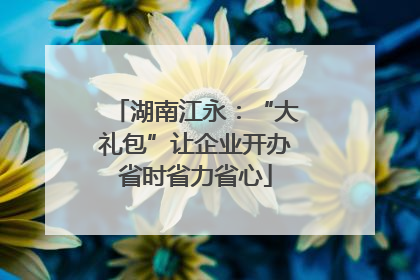 湖南江永：“大礼包”让企业开办省时省力省心