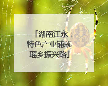湖南江永：特色产业铺就瑶乡振兴路