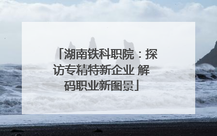 湖南铁科职院：探访专精特新企业 解码职业新图景