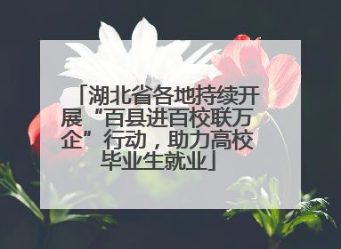 湖北省各地持续开展“百县进百校联万企”行动，助力高校毕业生就业