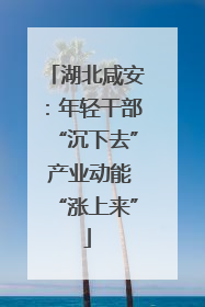湖北咸安：年轻干部“沉下去” 产业动能“涨上来”