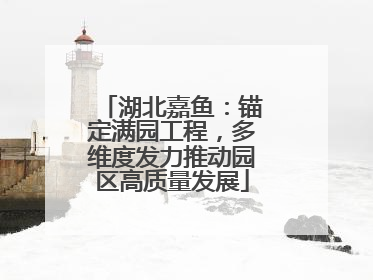 湖北嘉鱼：锚定满园工程，多维度发力推动园区高质量发展