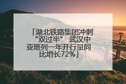 湖北铁路集团冲刺“双过半” 武汉中亚班列一年开行量同比增长72%