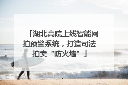 湖北高院上线智能网拍预警系统，打造司法拍卖“防火墙”
