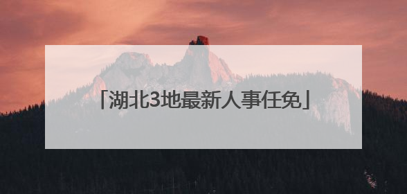 湖北3地最新人事任免