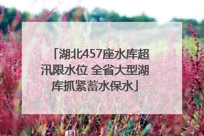 湖北457座水库超汛限水位 全省大型湖库抓紧蓄水保水