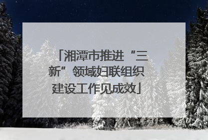 湘潭市推进“三新”领域妇联组织建设工作见成效