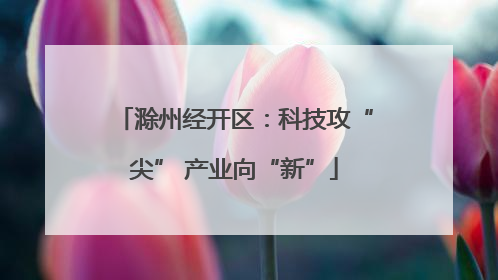 滁州经开区：科技攻“尖” 产业向“新”
