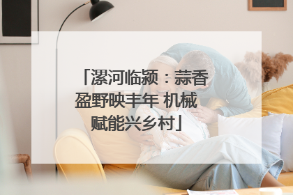 漯河临颍：蒜香盈野映丰年 机械赋能兴乡村