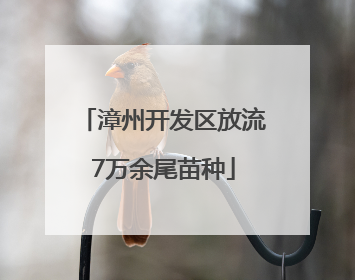 漳州开发区放流7万余尾苗种