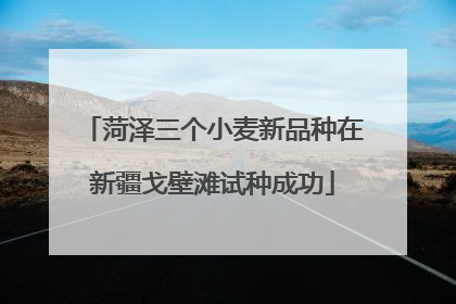 菏泽三个小麦新品种在新疆戈壁滩试种成功