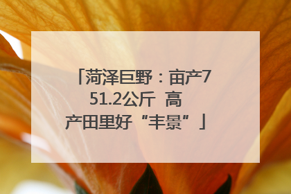 菏泽巨野：亩产751.2公斤  高产田里好“丰景”