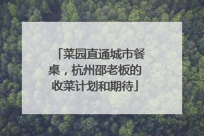 菜园直通城市餐桌，杭州邵老板的收菜计划和期待