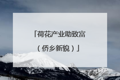 荷花产业助致富（侨乡新貌）