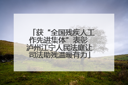 获“全国残疾人工作先进集体”表彰 泸州江宁人民法庭让司法助残温暖有力